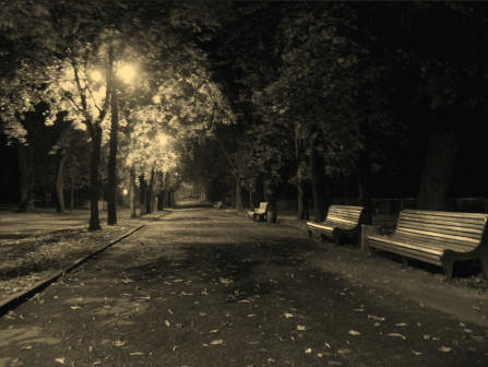аллея к беседке в вечернее время на владимирской горке  черно-белая фото