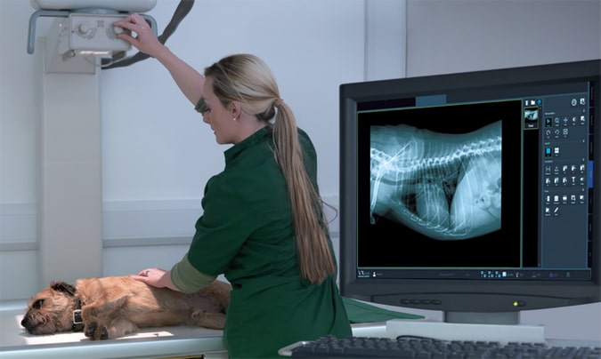 Сучасне рентген обладнання для ветеринарії