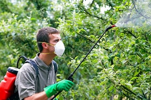 Welche Herbizide zu kaufen